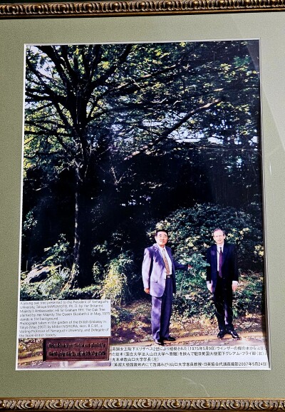 植樹英国大使と